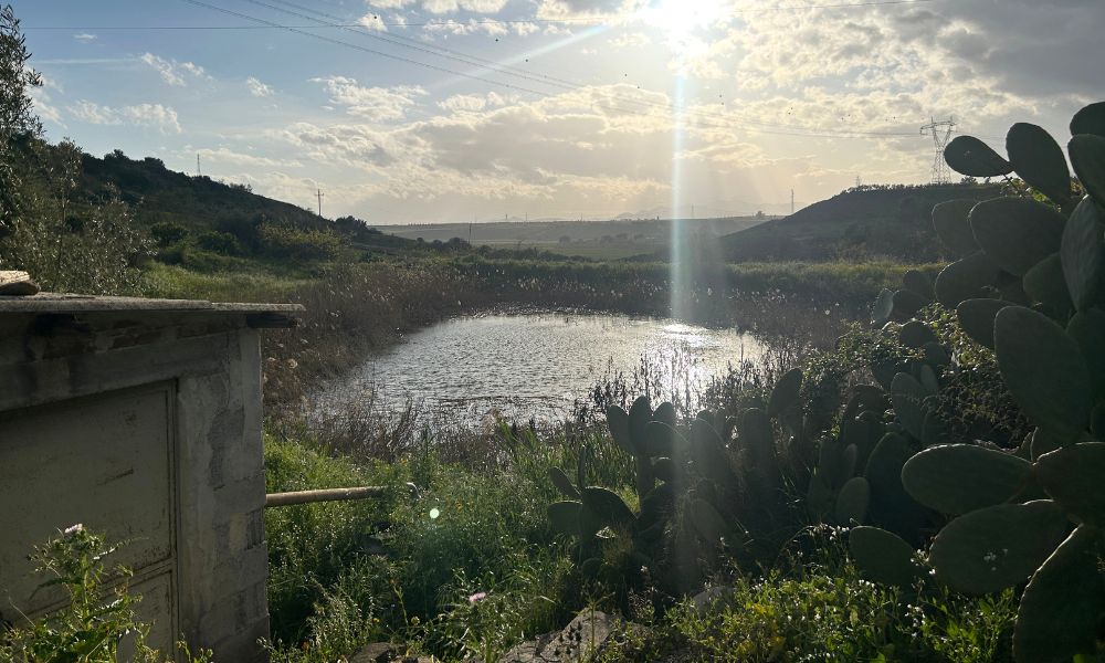 lago