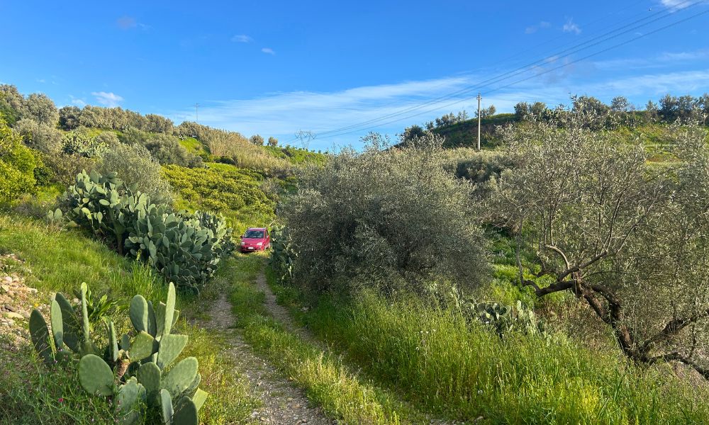 strada interna