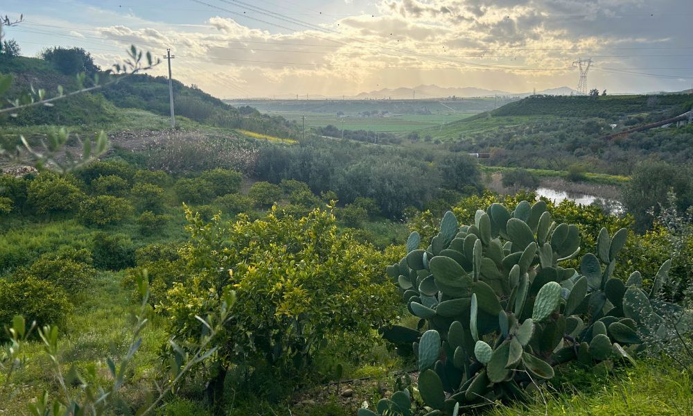 valle